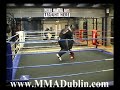 The Executioner V's The Technician