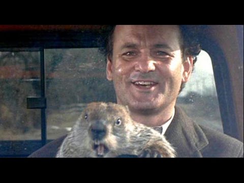 groundhog day analysis groundhog day analysis 28 images free groundhog day groundhog day analysis groundhog day analysis 28 images free groundhog day