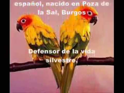 Imagen de previsualización de YouTube
