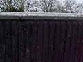Arkansas Redneck bobsled 2