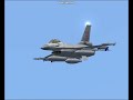 Afghan falcon Afghan falcon