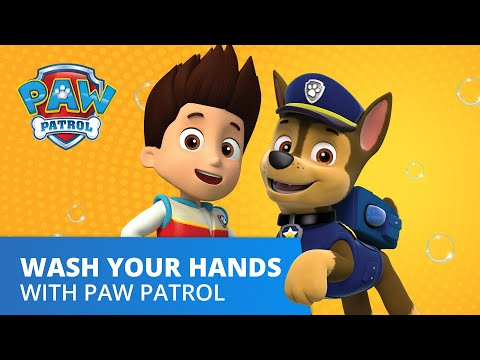 Was je handen met PAW Patrol!