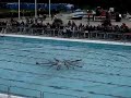 Stockholm Konstsim Herr - Popaganda 2008