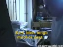 Comunidad umbria : Umbriano loco (Black sirius)