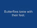 Funny and Wierd Facts
