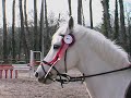 Bilbo du B�zu