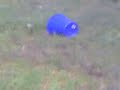 Click here to watch this video Böller im Eimer mit Wasser