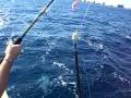 Phil catching Fish in 2006