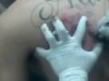 tatooo primeira seção