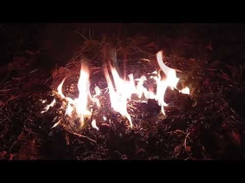 video-show