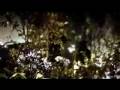 videos de Alesana ~ Ambrosia