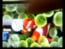 Prando psp modding varese!