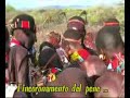 Nel sud dell'Etiopia, quasi al confine con il Kenia e lungo le anse dell'Omo River, in zone difficilmente raggiungibili,  vivono le ultime arcaiche tribù africane.Tra queste gli Hamer,  orgogliosi guerrieri di origine nilotica, che ancora praticano la tradizione del Bull Jump (il salto del toro).  La cerimonia - che segna il passaggio dei ragazzi alla casta dei guerrieri - dura un'intera giornata e comprende tra l'altro la sfida delle donne ai maschi della tribù, per sollecitare le loro frustate e dare dimostrazione del loro coraggio (e - a giudicare dalle cicatrici che tutte portano sulla schiena - coraggiose lo sono sul serio).La pratica del Bull Jump sta comunque scomparendo: le nuove generazioni Hamer vanno a scuola, si vestono all'europea e mostrano un certo disprezzo verso le abitudini tribali.Quindi queste immagini diventeranno sempre più rare.