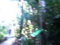 Africam Puebla