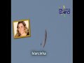 SIV Wingover Ozone- Paran� - www.pilotosafo.com.br