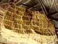 Barn elevator (raising straw)