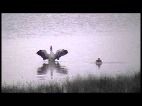 Imagen de previsualización de YouTube