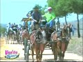 romeria viso