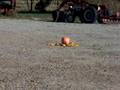 pumpkin explodes with sparkler bomb
