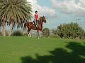 Blade trotting