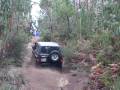 Facochero 2008