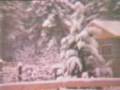 The Big Snow of 1969 - Elmira Oregon