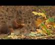 Luttrell Psalter (final trailer)