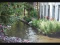 videos de Brugge Day 2