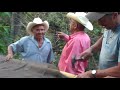 Proyecto de Desarrollo de Cafes Especiales en Chalatenango
