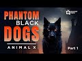 Part 1 Phantom Black Dogs - Animal X Classic