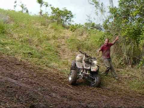 350 warrior 350 warrior