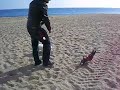 Chusty y Yoyi en la playa^^