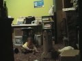 Zen Cody Cats