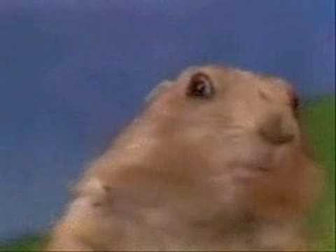 mirada asesina