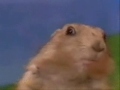 mirada asesina