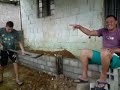 Bancada