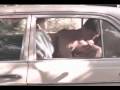  - MovieZen Video