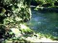 GUAPILES RIO BLANCO