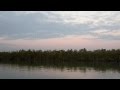 Sunderbans West Bengal Video