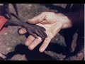 JVM - ALMA MISIONERA