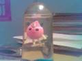 aquapet's dance