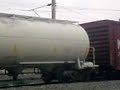FSRR 4419 Lecheria FSRR 4419 Lecheria