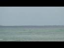 The South Shore