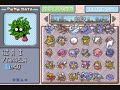 Pokemon Emerald all Pokemons SHINY!