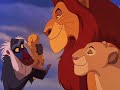 les lions (le roi lion -nous somme un)