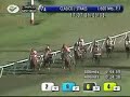 CLASICO GREGORIO AMUNATEGUI 2008 CLASICO GREGORIO AMUNATEGUI 2008