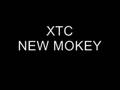 XTC - NEW MONKEY