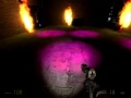 Garys Mod 10 Fire Suxx