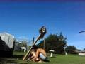 videos de Trebuchet/ Catapult #1
