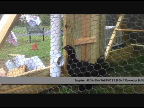 meat rabbits how to make chicken feeder chicken egg psychology